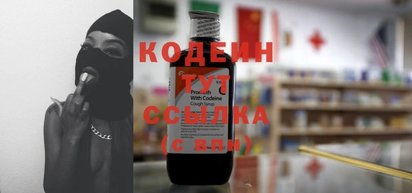 ПСИЛОЦИБИНОВЫЕ ГРИБЫ Сясьстрой