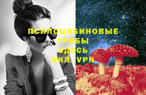 ПСИЛОЦИБИНОВЫЕ ГРИБЫ Сясьстрой
