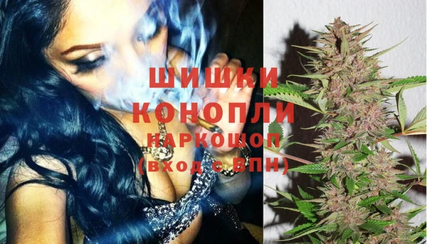 ПСИЛОЦИБИНОВЫЕ ГРИБЫ Сясьстрой