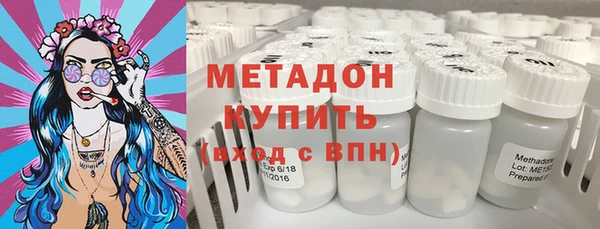 ПСИЛОЦИБИНОВЫЕ ГРИБЫ Сясьстрой