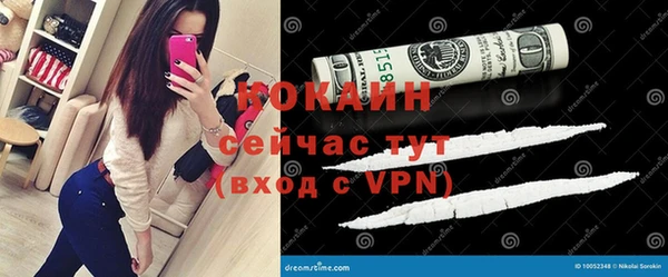 ПСИЛОЦИБИНОВЫЕ ГРИБЫ Сясьстрой